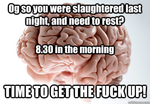 Og so you were slaughtered last night, and need to rest? TIME TO GET THE FUCK UP! 8.30 in the morning - Og so you were slaughtered last night, and need to rest? TIME TO GET THE FUCK UP! 8.30 in the morning  Scumbag Brain