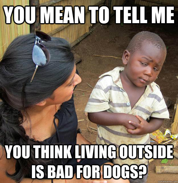 You mean to tell me you think living outside is bad for DOGS? - You mean to tell me you think living outside is bad for DOGS?  Skeptical Third World Child