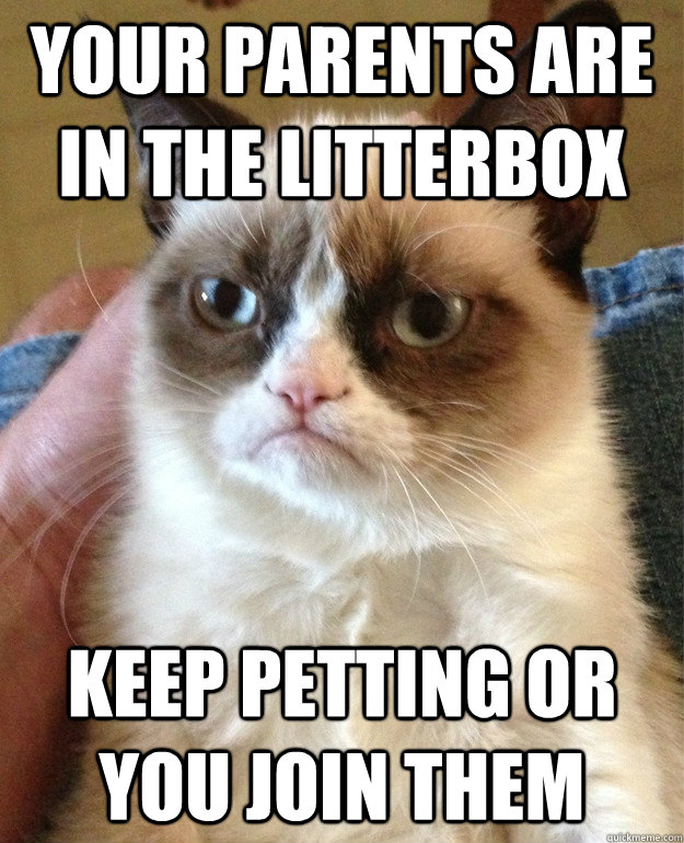 your parents are in the litterbox keep petting or you join them  Grumpy Cat