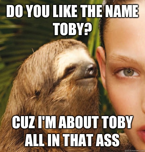 Do you like the name Toby? Cuz I'm about Toby all in that ass - Do you like the name Toby? Cuz I'm about Toby all in that ass  Whispering Sloth