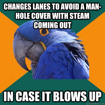 changes lanes to avoid a man-hole cover with steam coming out in case it blows up  Paranoid Parrot