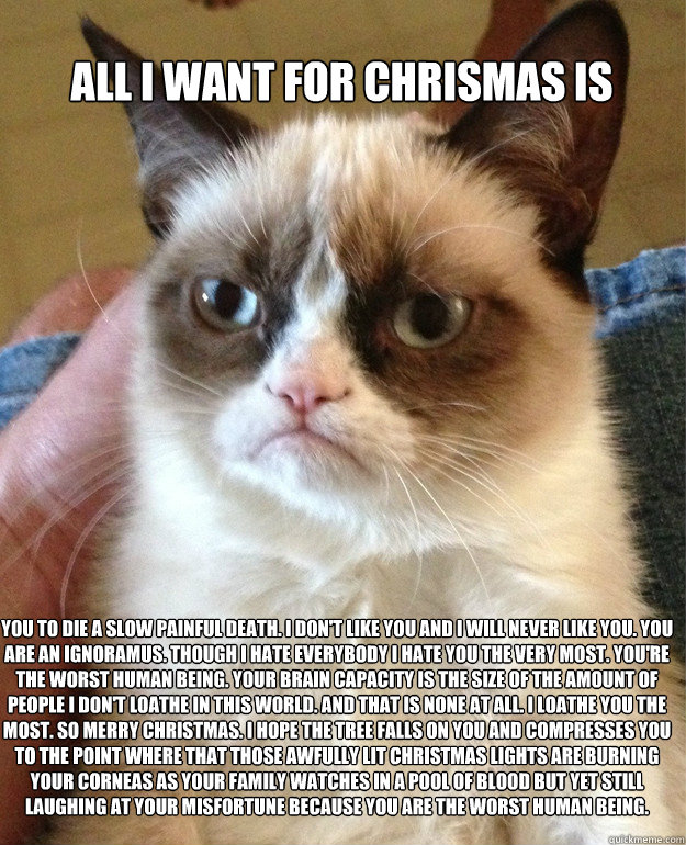 All I want for chrismas is you to die a slow painful death. i don't like you and i will never like you. you are an ignoramus. though i hate everybody i hate you the very most. you're the worst human being. your brain capacity is the size of the amount of   Grumpy Cat