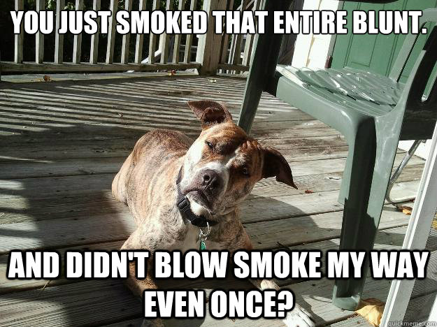 You just smoked that entire blunt. And didn't blow smoke my way even once?  Good Dog Greg