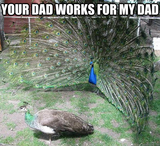 YOUR DAD WORKS FOR MY DAD  Peacocks fail