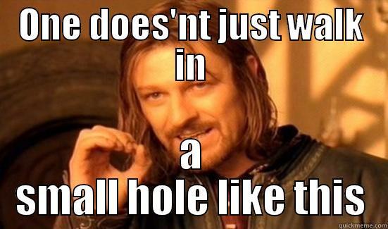 The Ring - ONE DOES'NT JUST WALK IN A SMALL HOLE LIKE THIS Boromir