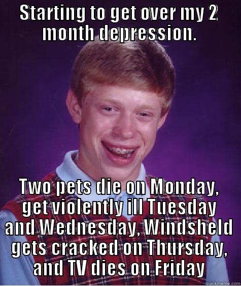 STARTING TO GET OVER MY 2 MONTH DEPRESSION. TWO PETS DIE ON MONDAY, GET VIOLENTLY ILL TUESDAY AND WEDNESDAY, WINDSHELD GETS CRACKED ON THURSDAY, AND TV DIES ON FRIDAY Bad Luck Brian