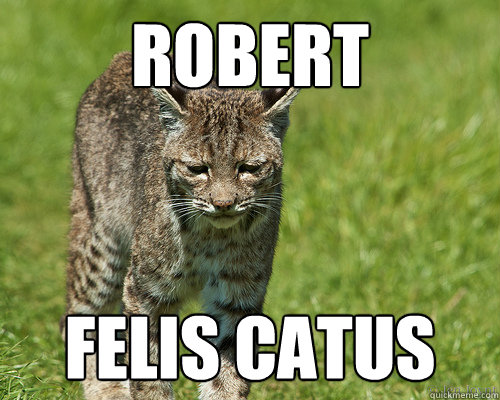 Robert Felis Catus - Robert Felis Catus  Misc