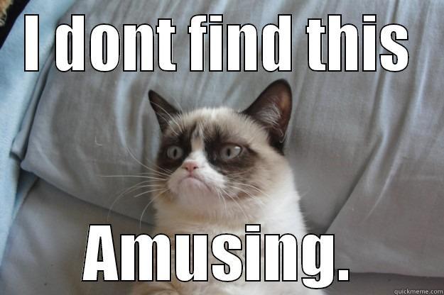 I DONT FIND THIS AMUSING. Grumpy Cat