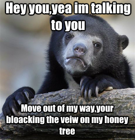 Hey you,yea im talking to you Move out of my way,your bloacking the veiw on my honey tree  Confession Bear