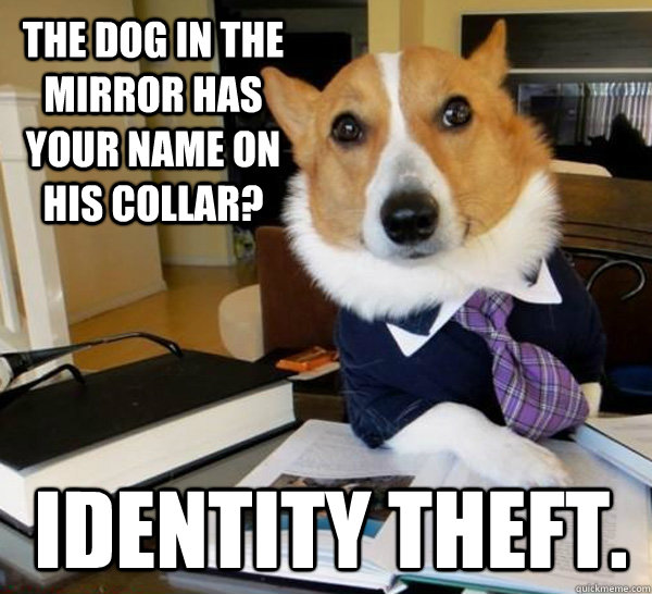 The dog in the mirror has your name on his collar? Identity theft.   Lawyer Dog