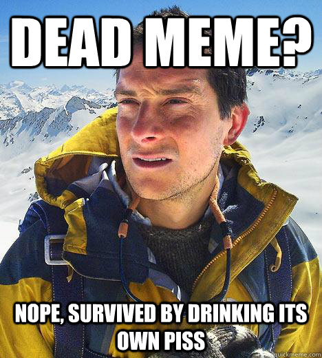 dead meme? Nope, survived by drinking its own piss - dead meme? Nope, survived by drinking its own piss  Bear Grylls