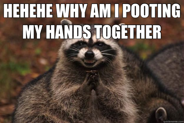 HEHEHE WHY AM I POOTING MY HANDS TOGETHER  - HEHEHE WHY AM I POOTING MY HANDS TOGETHER   Evil Plotting Raccoon