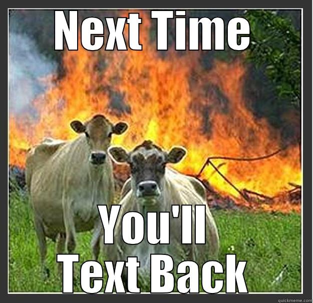 Cow Texts - NEXT TIME YOU'LL TEXT BACK Evil cows