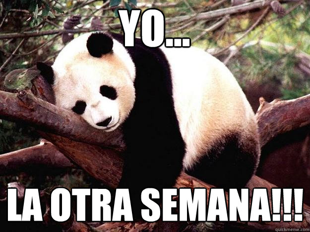 yo... la otra semana!!!  Procrastination Panda