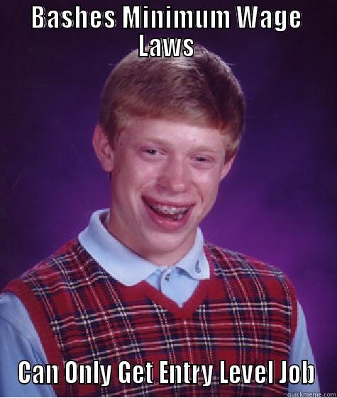 BASHES MINIMUM WAGE LAWS CAN ONLY GET ENTRY LEVEL JOB Bad Luck Brian