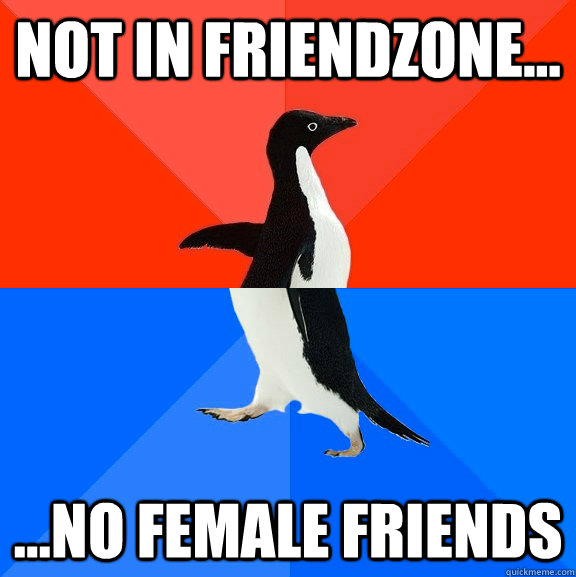 Not in friendzone... ...no female friends  Socially Awesome Awkward Penguin