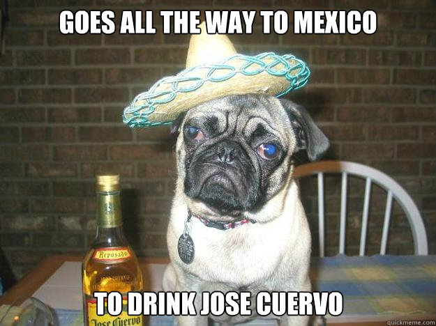 goes all the way to mexico to drink jose cuervo - goes all the way to mexico to drink jose cuervo  Vacation dog