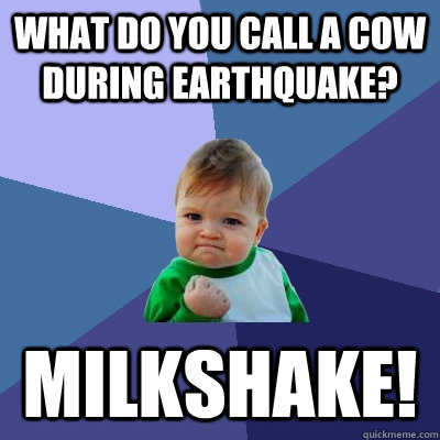 what do you call a cow during earthquake? milkshake!  Success Kid