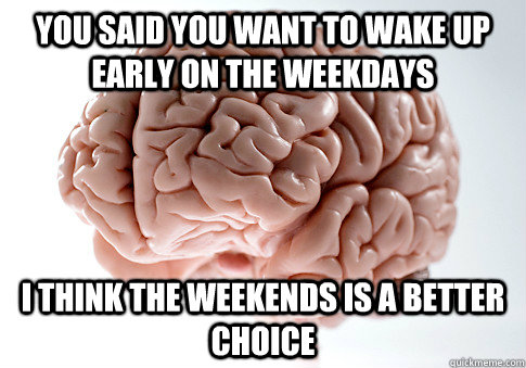 you said you want to wake up early on the weekdays i think the weekends is a better choice   Scumbag Brain