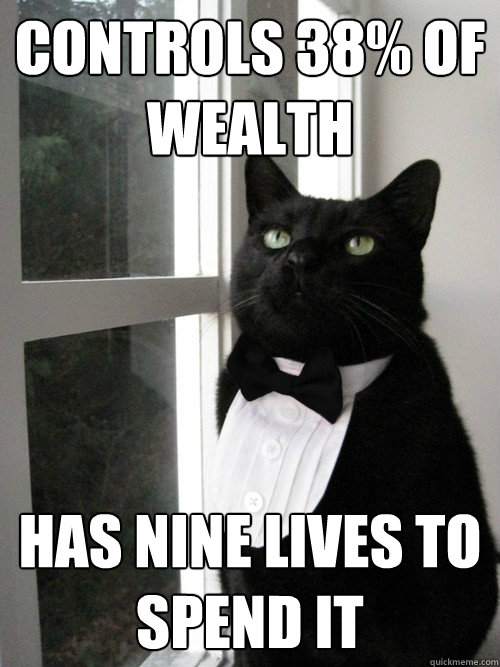 controls 38% of wealth has nine lives to spend it  One Percent Cat