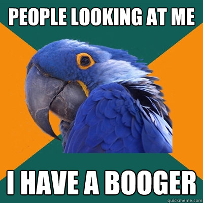 people looking at me i have a booger - people looking at me i have a booger  Paranoid Parrot