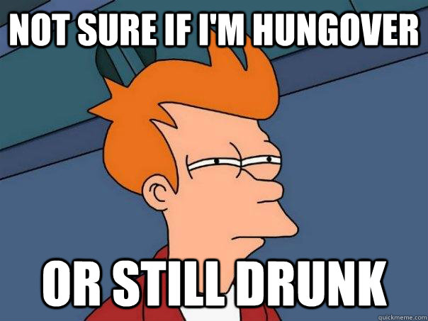 Not sure if i'm hungover or still drunk  Futurama Fry