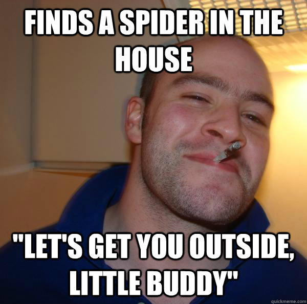 finds a spider in the house 