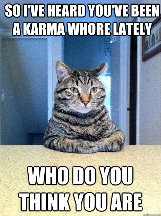 so i've heard you've been a karma whore lately who do you think you are  Chris Hansen Cat