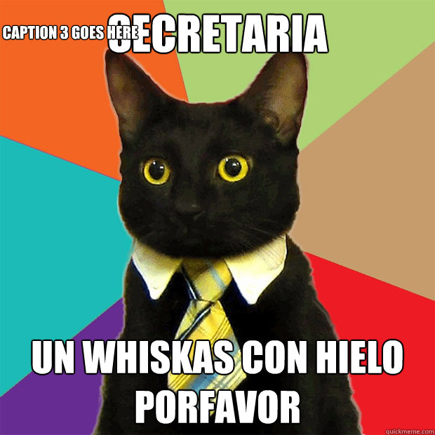 Secretaria un whiskas con hielo porfavor Caption 3 goes here  Business Cat