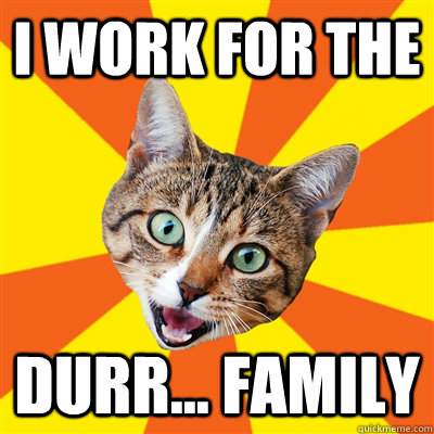 I work for the Durr... family  Bad Advice Cat