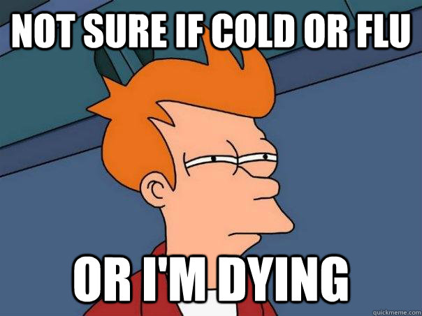 Not sure if cold or flu or i'm dying  Futurama Fry