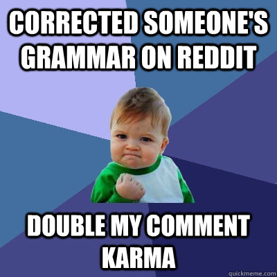 Corrected someone's grammar on reddit double my comment karma  Success Kid