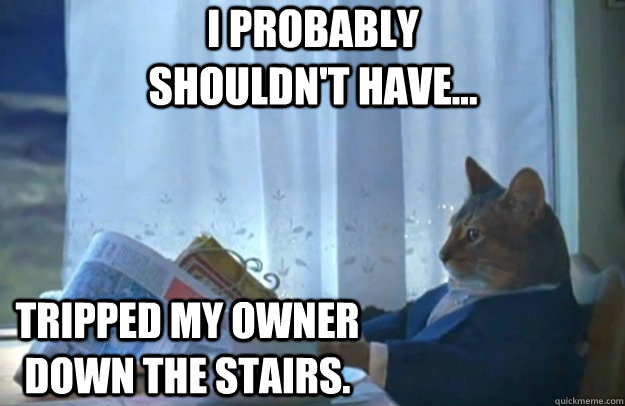 I probably shouldn't have... Tripped my owner down the stairs.  Sophisticated Cat