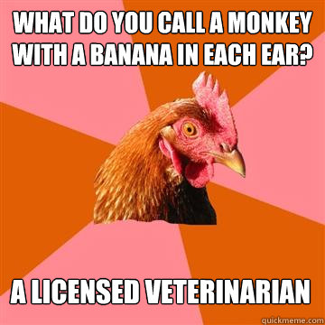 What do you call a monkey with a banana in each ear? A licensed veterinarian  Anti-Joke Chicken