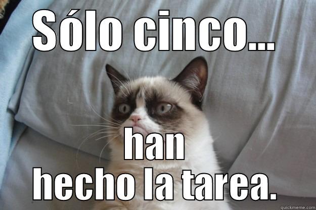 SÓLO CINCO... HAN HECHO LA TAREA. Grumpy Cat