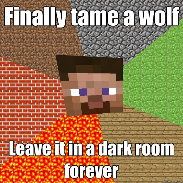 Finally tame a wolf Leave it in a dark room forever  Minecraft