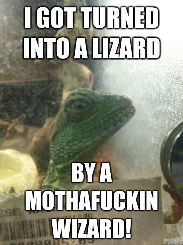 I got turned into a lizard By a mothafuckin wizard!  Leery Lizard