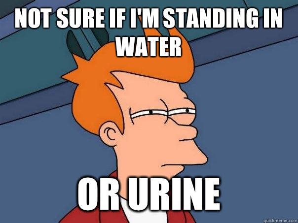 Not sure if I'm standing in water Or urine  Futurama Fry