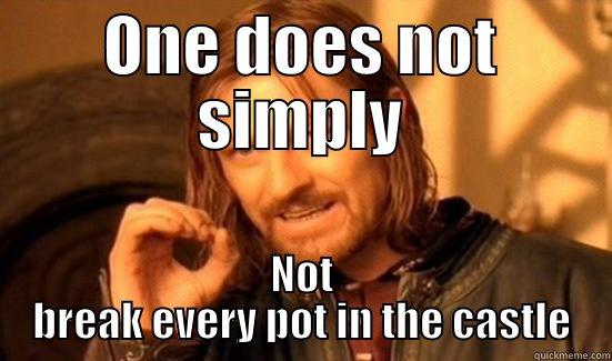 ONE DOES NOT SIMPLY NOT BREAK EVERY POT IN THE CASTLE Boromir