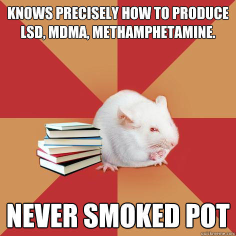 knows precisely how to produce lsd, mdma, methamphetamine. never smoked pot  
