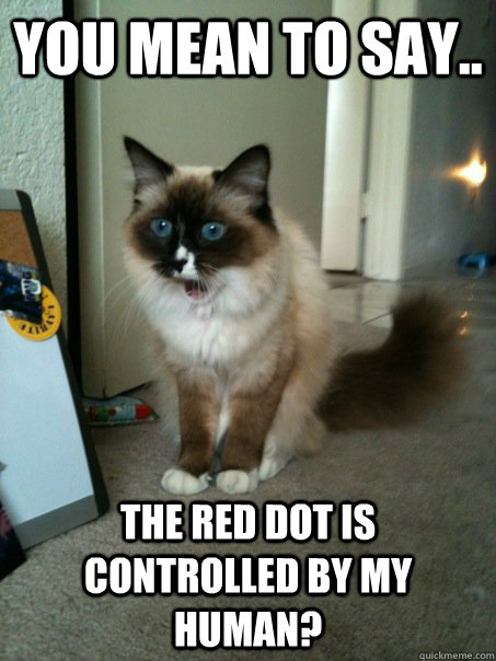 You mean to say.. The red dot is controlled by my human? - You mean to say.. The red dot is controlled by my human?  Misc