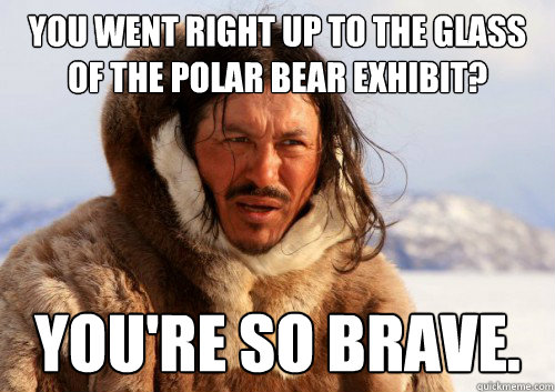 you went right up to the glass of the polar bear exhibit? you're so brave.  