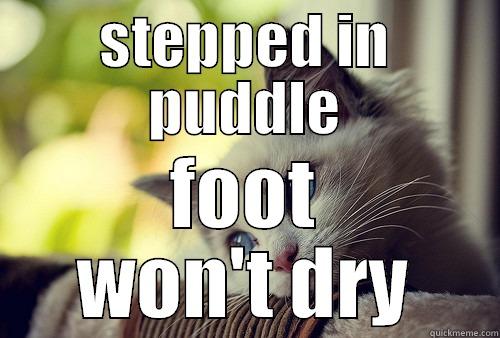 STEPPED IN PUDDLE FOOT WON'T DRY First World Problems Cat