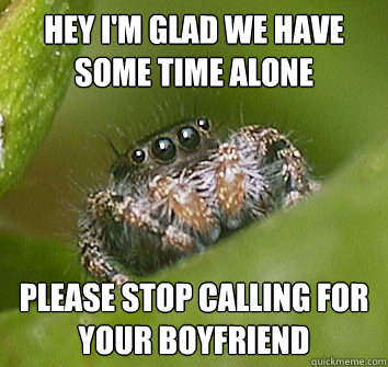 Hey I'm glad we have some time alone  Please stop calling for your boyfriend - Hey I'm glad we have some time alone  Please stop calling for your boyfriend  Misunderstood Spider