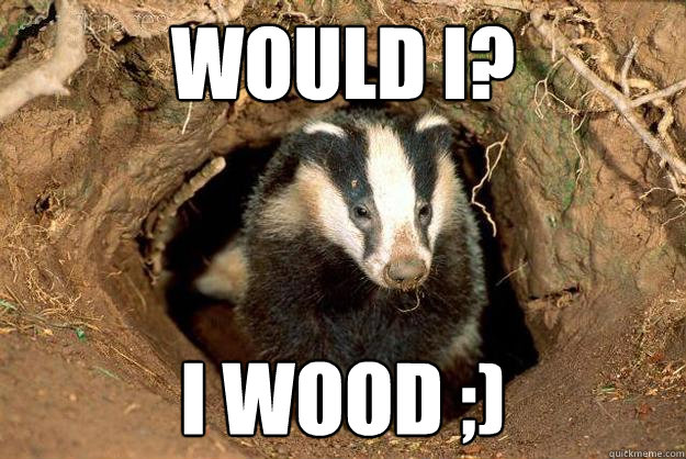 Would I? I wood ;) - Would I? I wood ;)  Sexual innuendo Badger