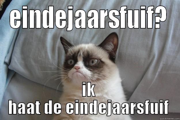 EINDEJAARSFUIF? IK HAAT DE EINDEJAARSFUIF Grumpy Cat