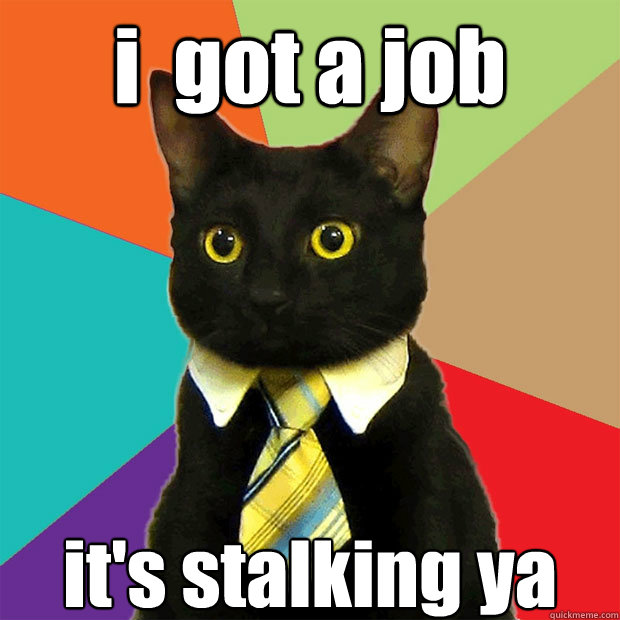 i  got a job it's stalking ya  Business Cat