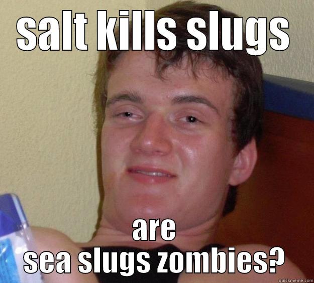 SALT KILLS SLUGS ARE SEA SLUGS ZOMBIES? 10 Guy