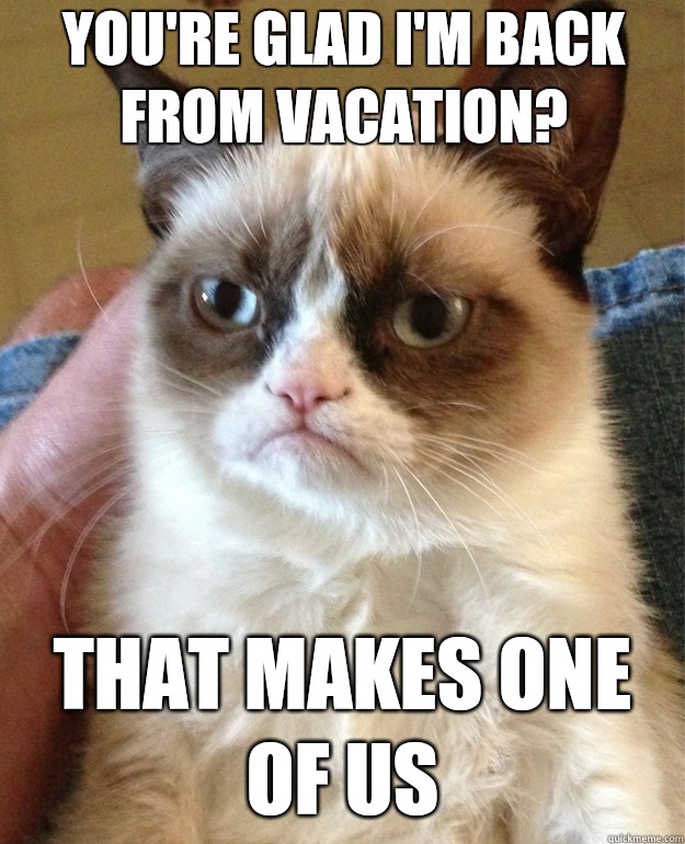 you're glad I'm back from vacation? That makes one of us  Grumpy Cat