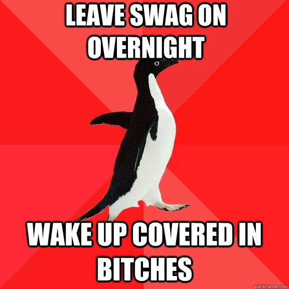 Leave swag on overnight Wake up covered in bitches  Socially Awesome Penguin